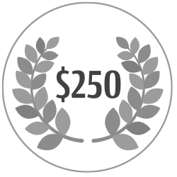 $250 Badge