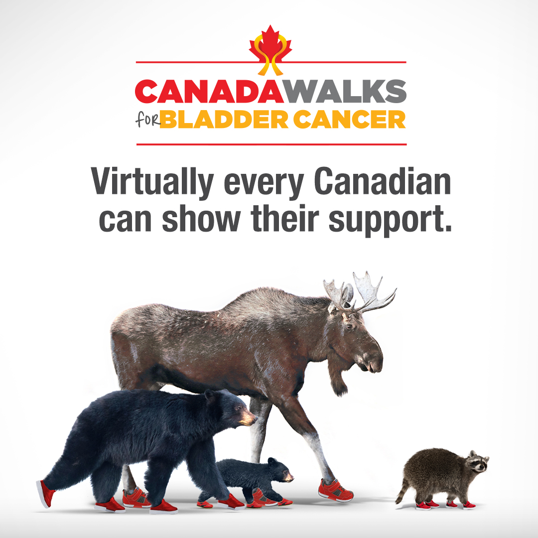 About Canada Walks