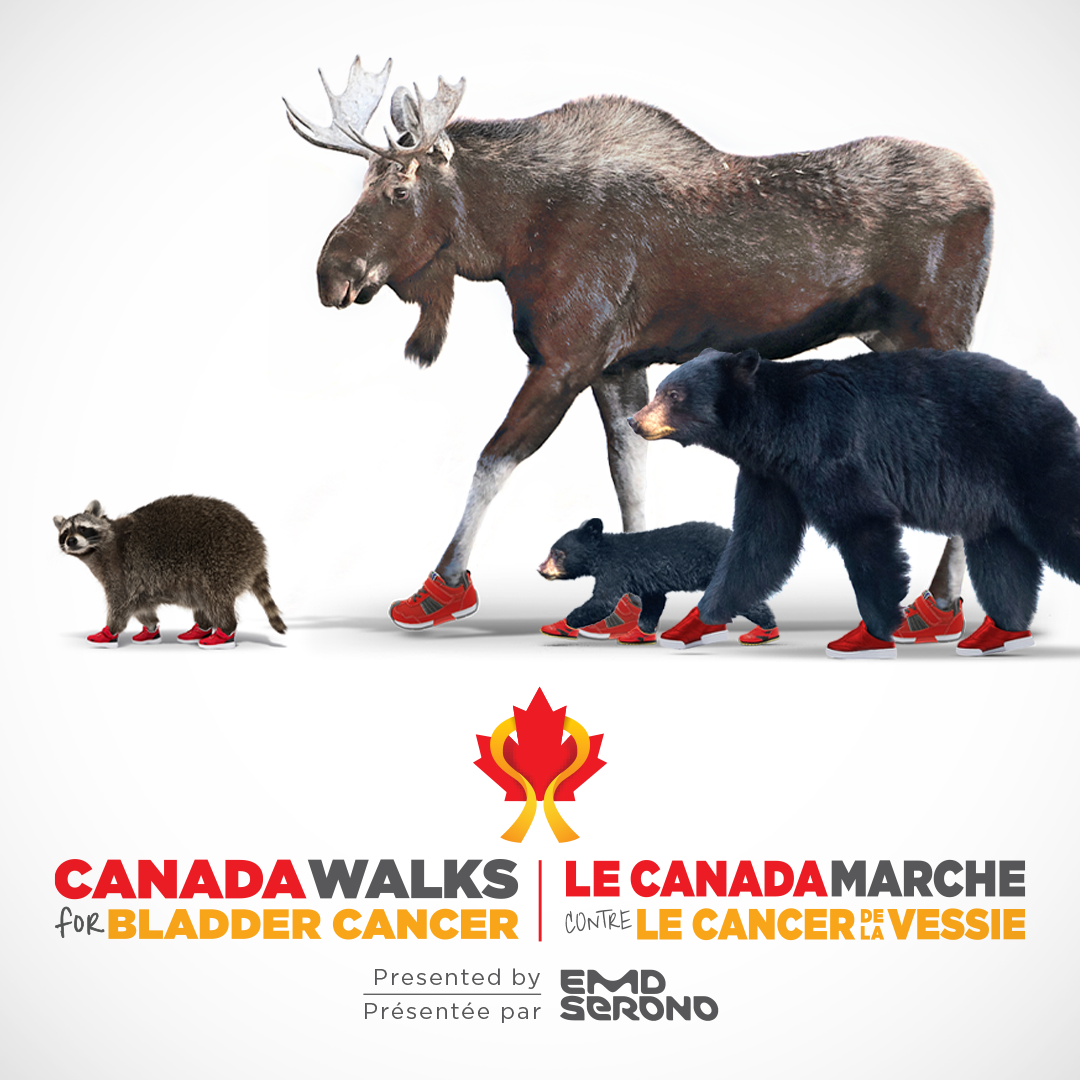About Canada Walks